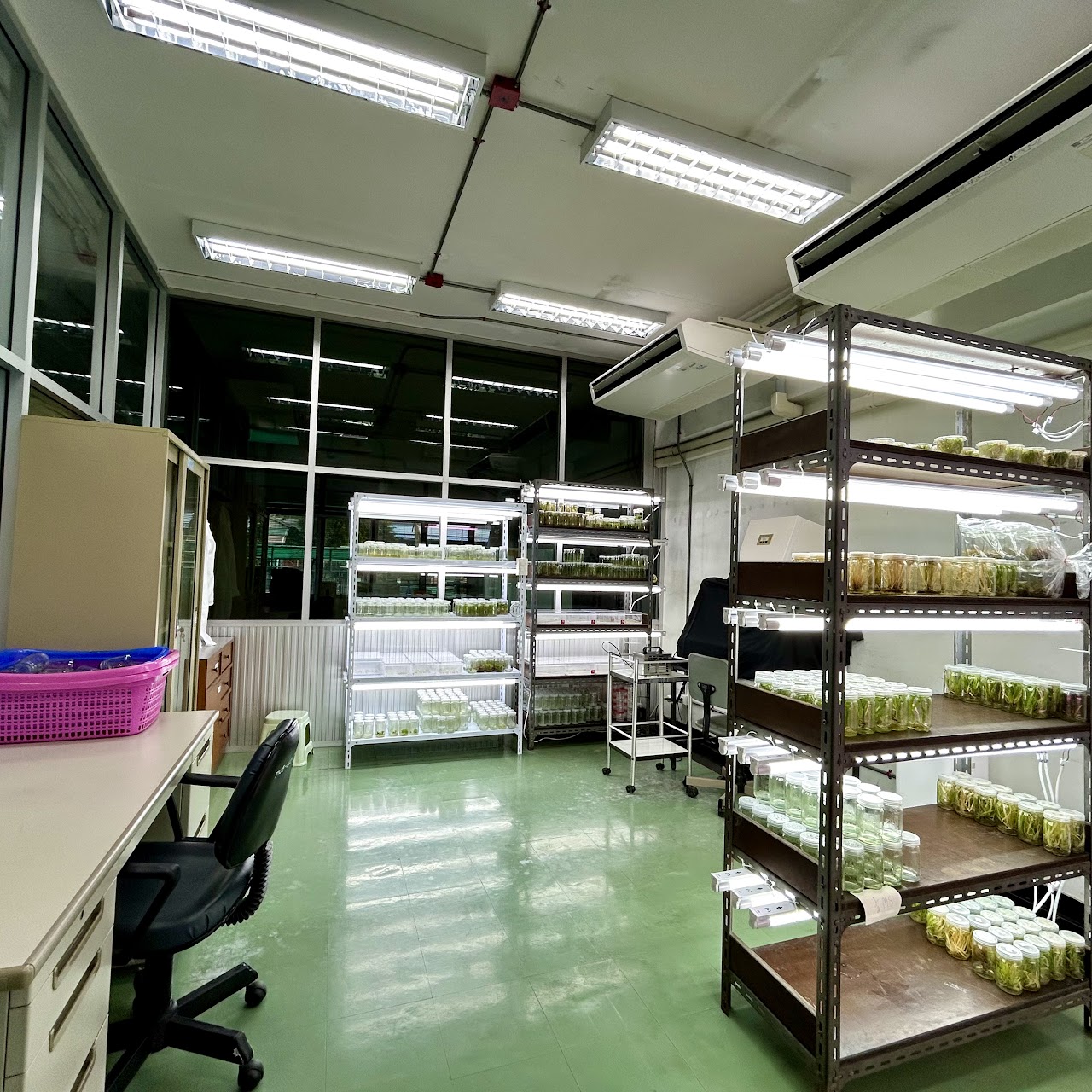 Tissue Culture Lab